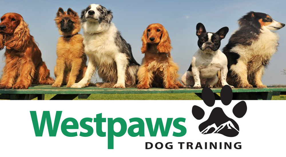 Westpaws-dog-training